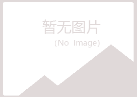 青岛黄岛迷失能源有限公司